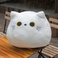 Coussins / Peluches Animaux Kawaii